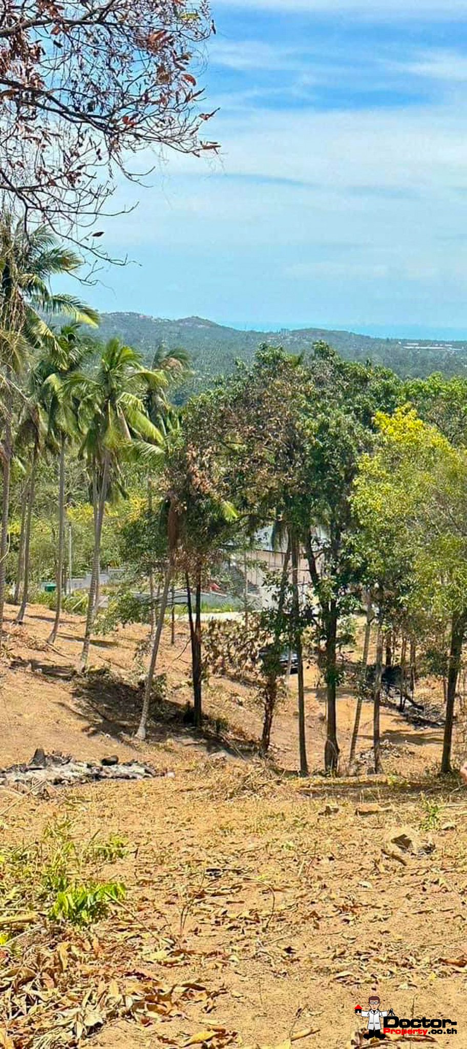 Land 5 Rai with Partial Sea View and Mountain View in Mae Nam, Koh Samui – For Sale