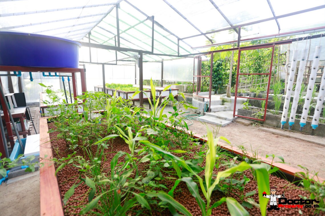 Spacious 3,200 Sqm Land with House in Bang Rak, Koh Samui – For Sale