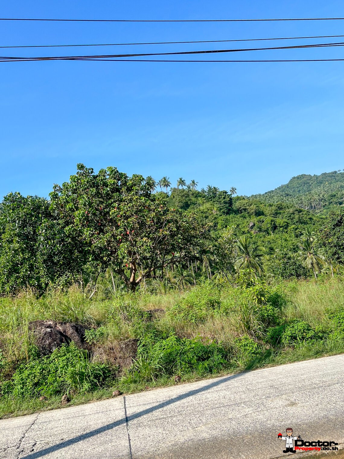 1728 sqm Land in Chaweng Noi, Koh Samui – For Sale