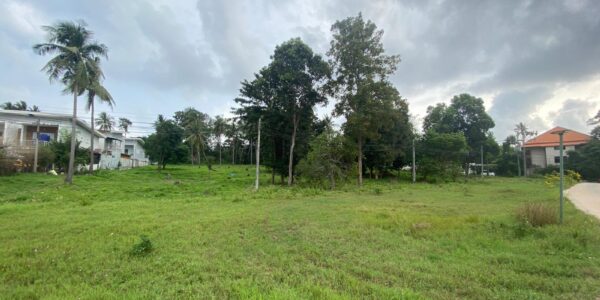 Flat Land 3 Rai in Bang Rak, 5 minitues to International School, Koh Samui – For Sale