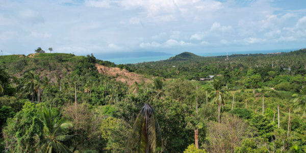 800 Square Meters Sea View Land in Bang Por, Koh Samui – For Sale