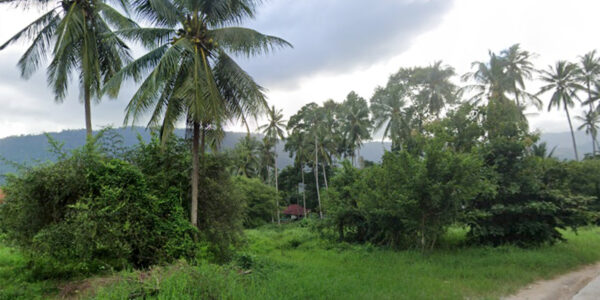 Flat land 5296 sqm in Lamai, Koh Samui – For Sale