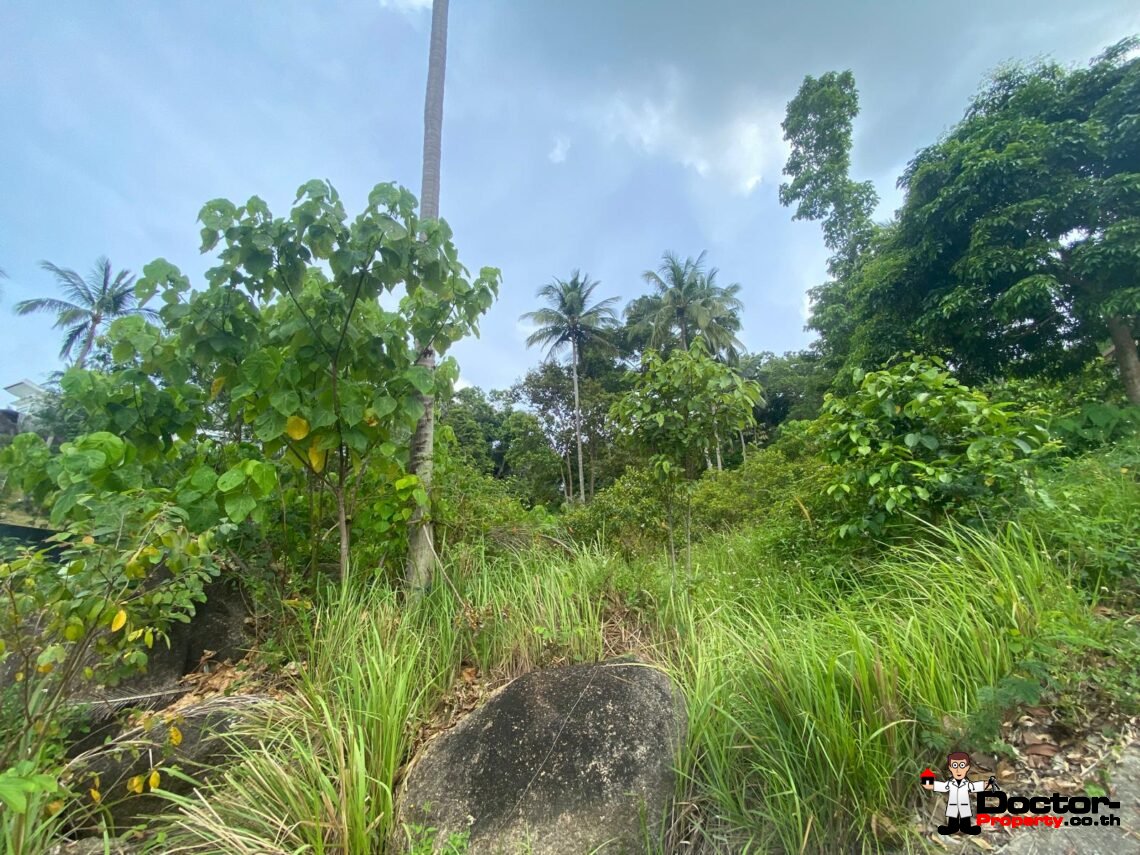 Land 3,636 sqm in Chaweng Noi, Koh Samui – For Sale