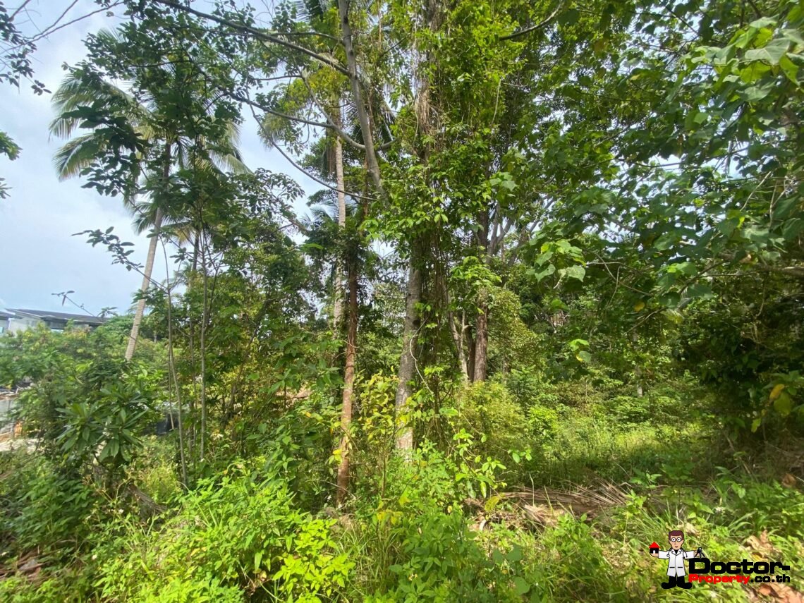 Land 3,636 sqm in Chaweng Noi, Koh Samui – For Sale
