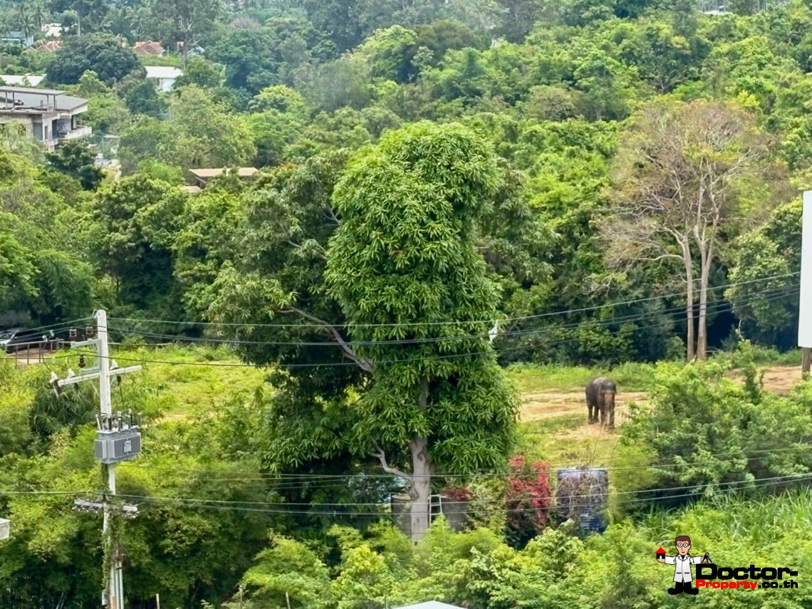 Spacious 3 Bedroom Pool Villa in Bo Phut, Koh Samui – For Sale