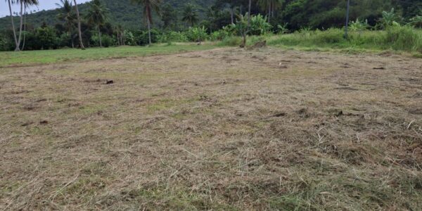 Flat Land 2 Rai in Mae Nam, Koh Samui – For Sale