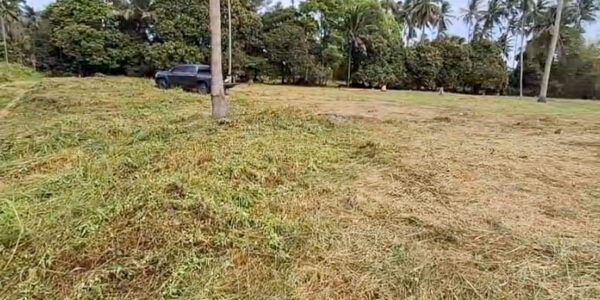 Flat Land 2 Rai in Mae Nam, Koh Samui – For Sale