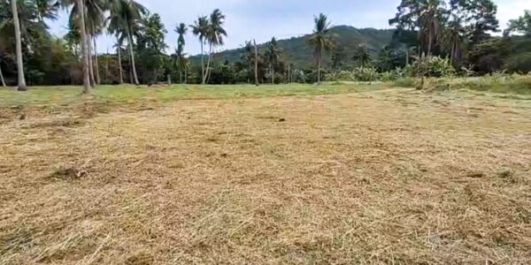 Flat Land 2 Rai in Mae Nam, Koh Samui – For Sale