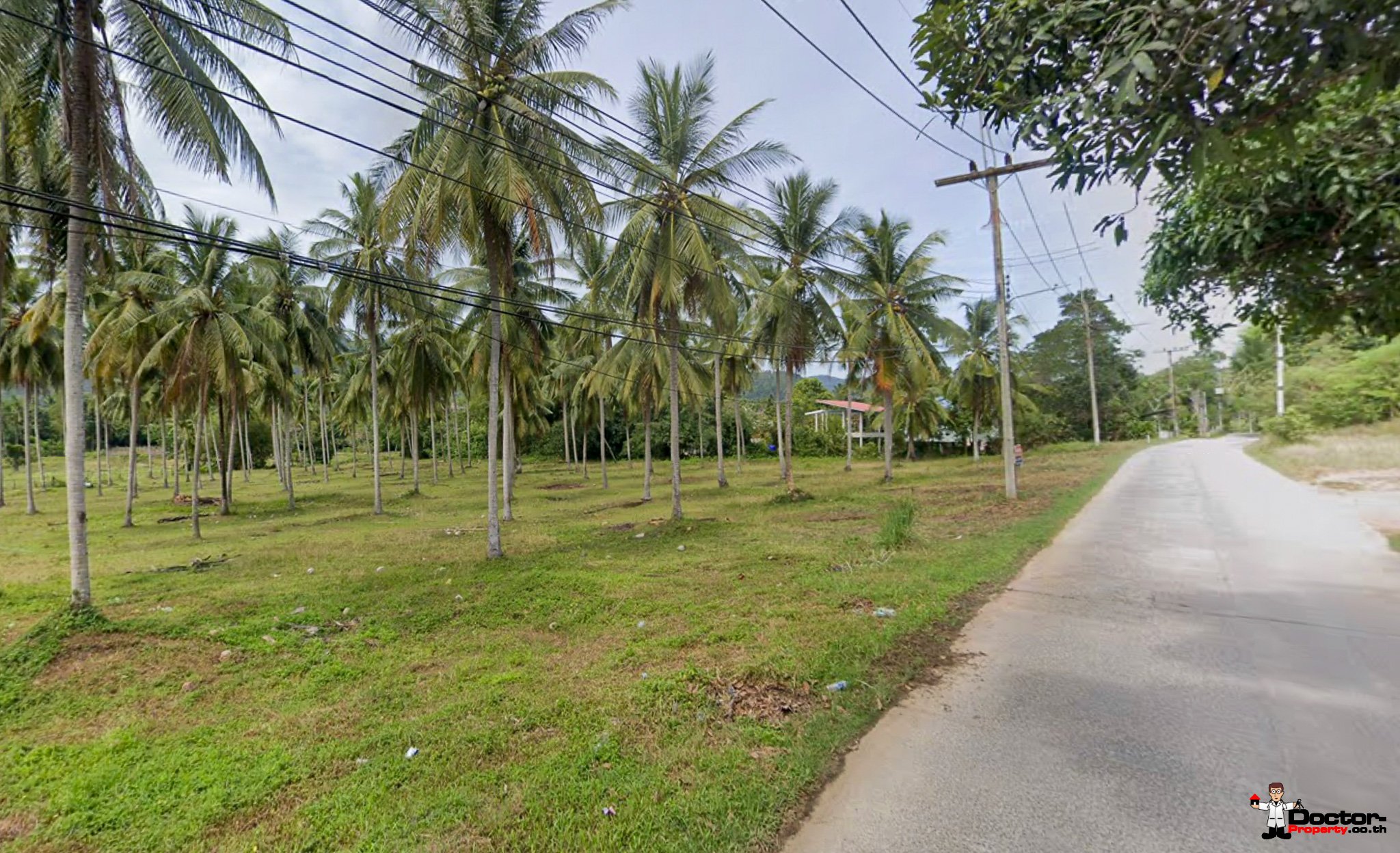 ขายที่ดินเปล่า 2800 ตรม. ตลิ่งงาม เกาะสมุย Doctor Property