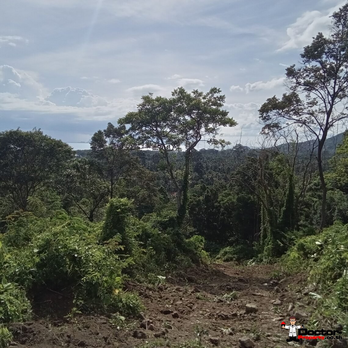 Land 10 Rai with Stunning Sea View in Ang Thong, Koh Samui – For Sale