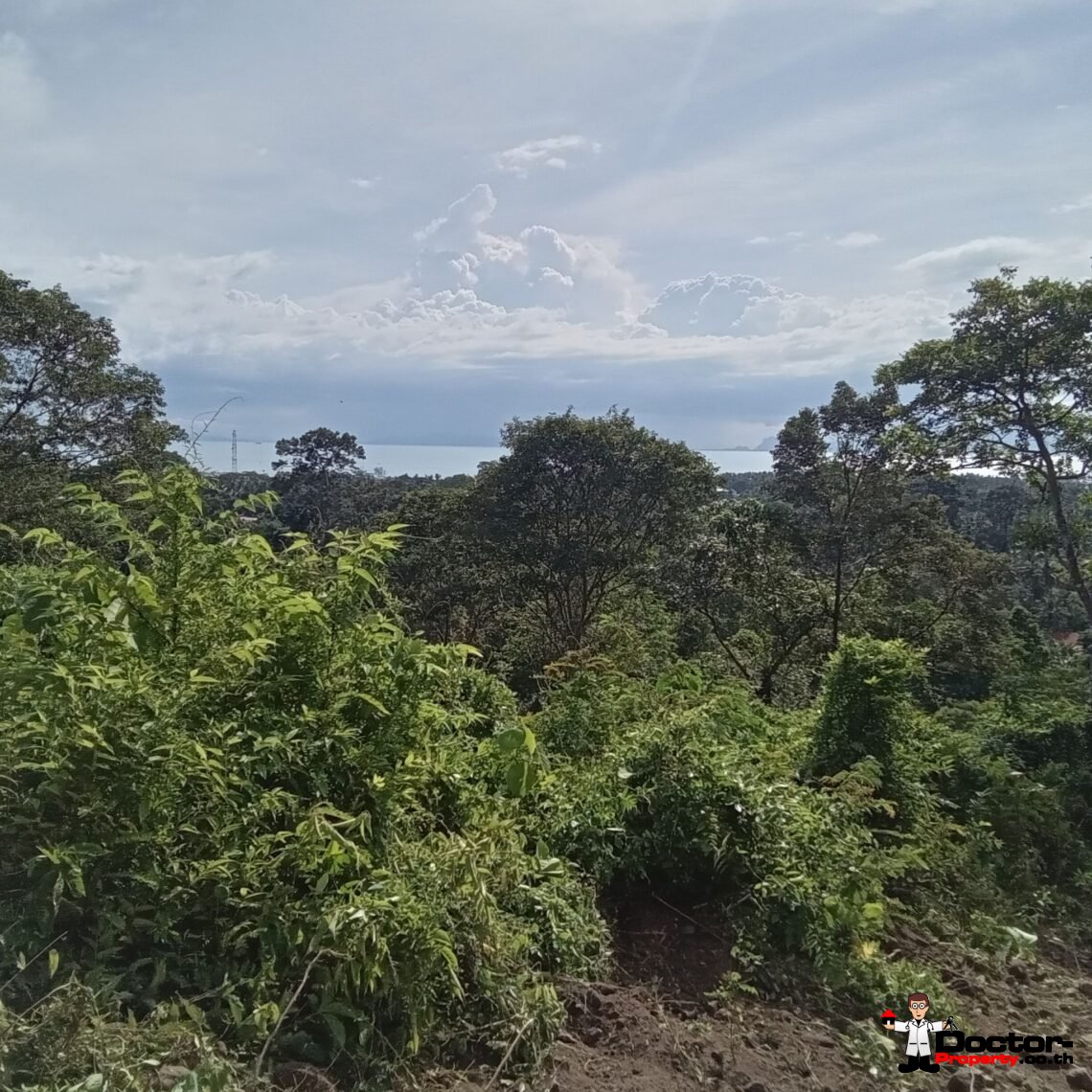 Land 10 Rai with Stunning Sea View in Ang Thong, Koh Samui – For Sale
