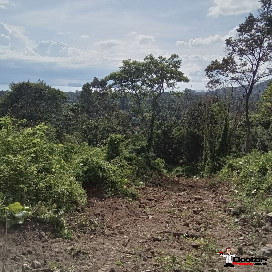 Land 10 Rai with Stunning Sea View in Ang Thong, Koh Samui – For Sale