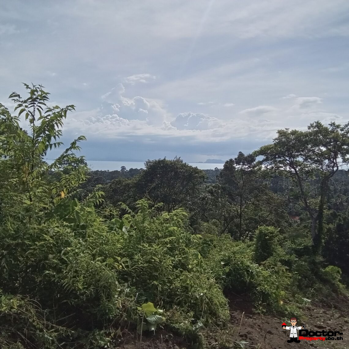 Land 10 Rai with Stunning Sea View in Ang Thong, Koh Samui – For Sale