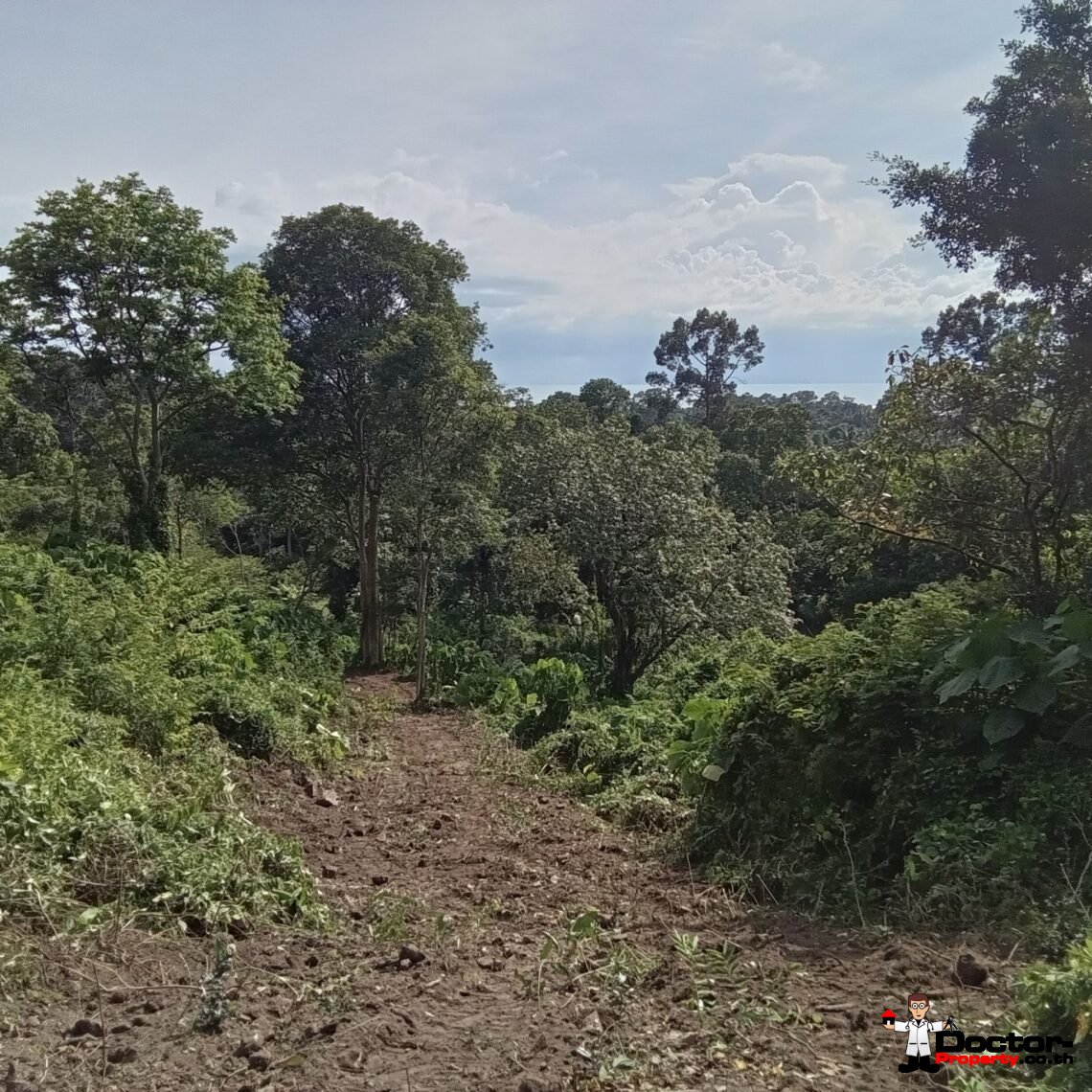 Land 10 Rai with Stunning Sea View in Ang Thong, Koh Samui – For Sale