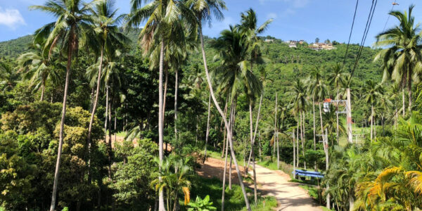 Flat Land 1600 sqm in Bang Por, Koh Samui – For Sale