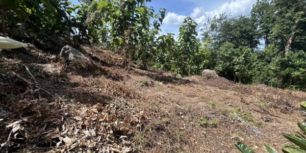 1,826 Sqm of Sae View Land in Laem Set, Koh Samui – For Sale