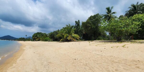 4 Rai Beachfront Land in Mae Nam, Koh Samui – For Sale