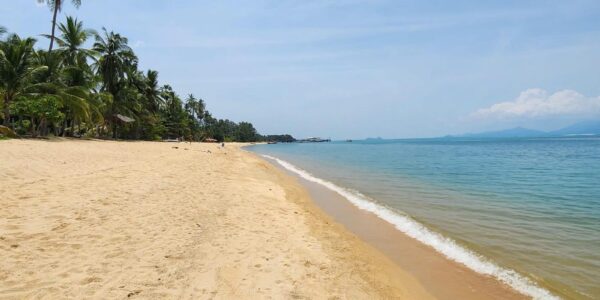 4 Rai Beachfront Land in Mae Nam, Koh Samui – For Sale