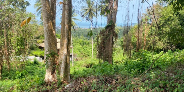 Land 2,520 of Sea View in Ang Thong, Koh Samui – For Sale