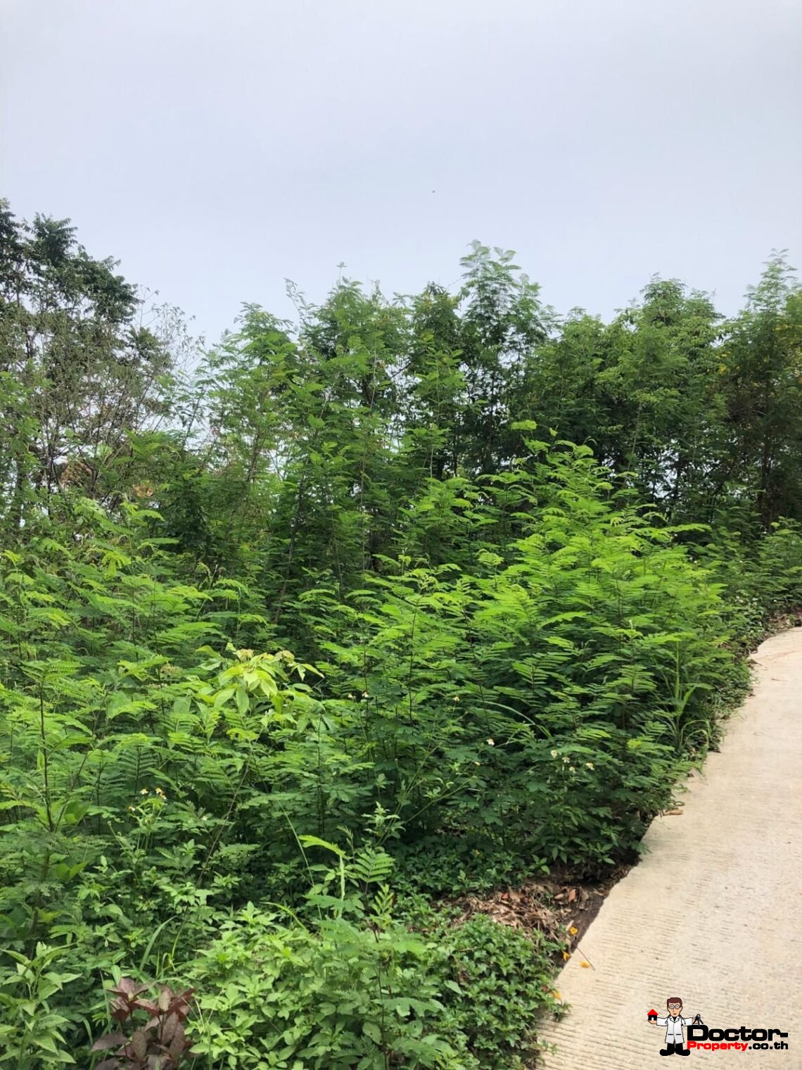 2 Rai of Sea View Land in Ang Thong, Koh Samui – For Sale