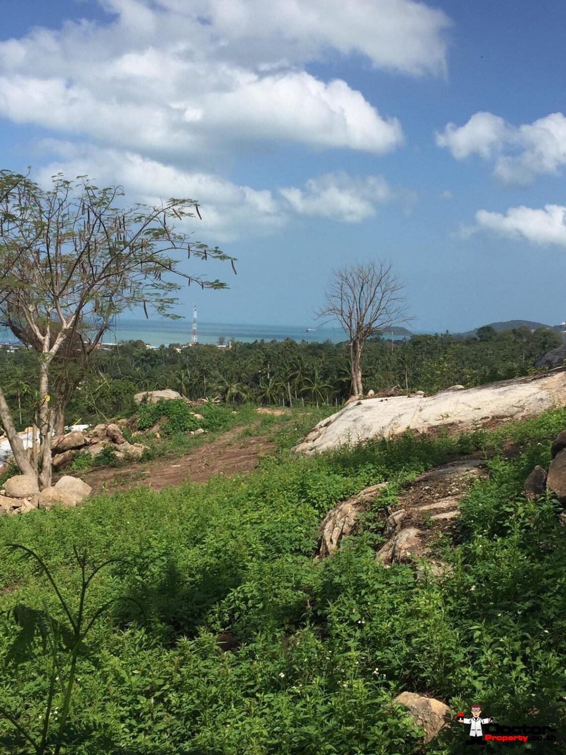 2 Rai of Sea View Land in Ang Thong, Koh Samui – For Sale