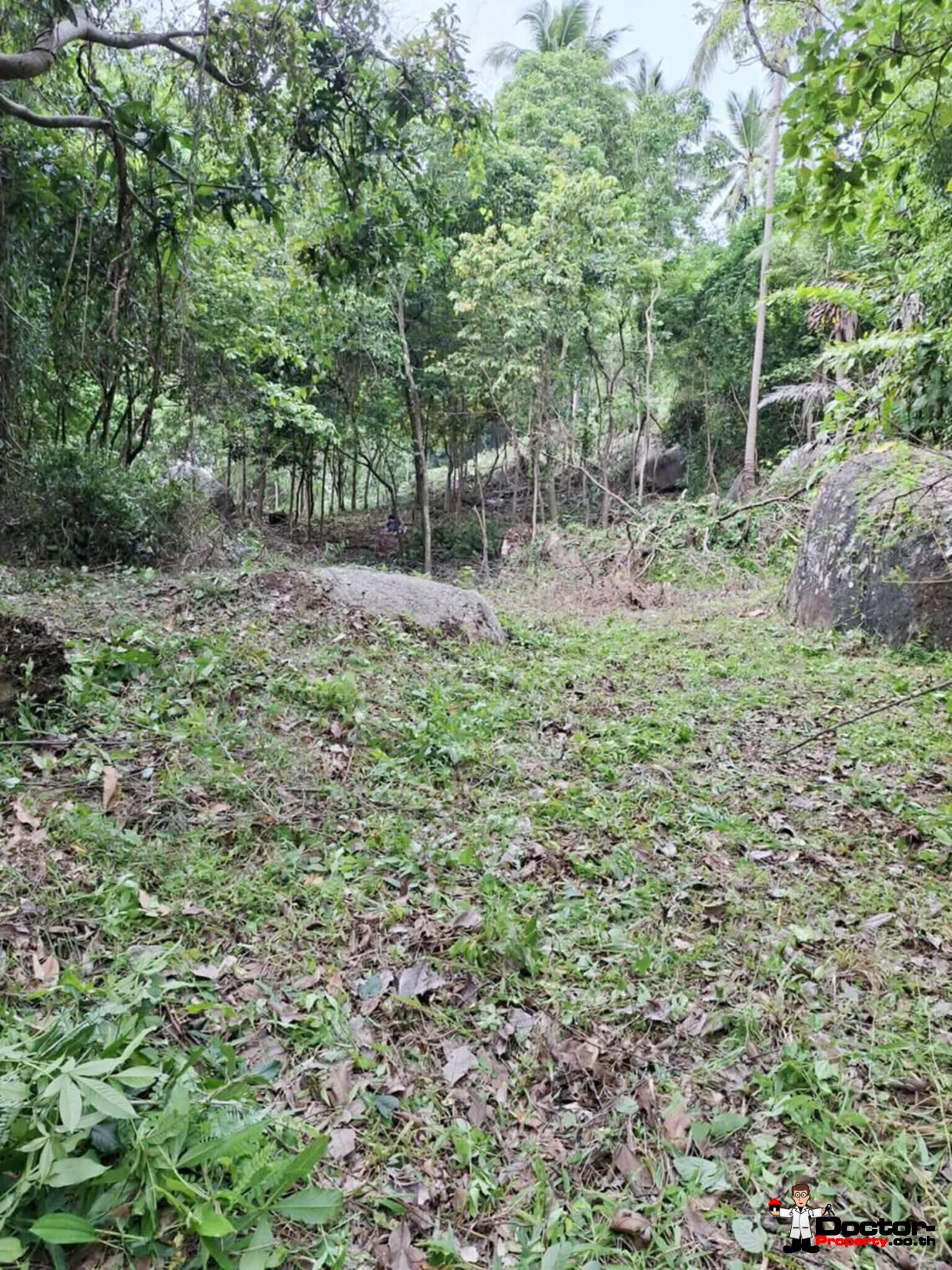 Land 7,468 of Sea View in Lamai, Koh Samui – For Sale