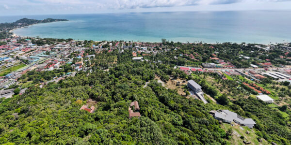 Land 1600 Sqm of Sea View in Lamai, Koh Samui – For Sale