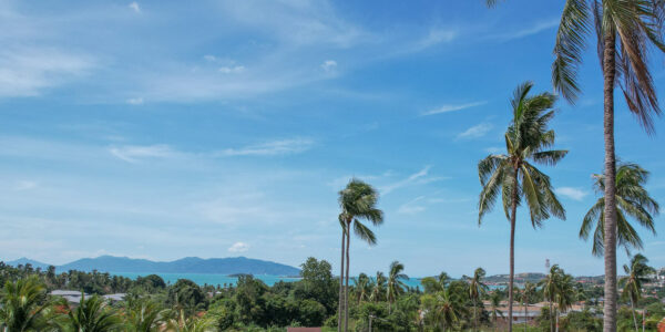 Land 1,555 Sqm of Sea View in Bang Rak, Koh Samui – For Sale