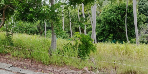 Land 1,555 Sqm of Sea View in Bang Rak, Koh Samui – For Sale