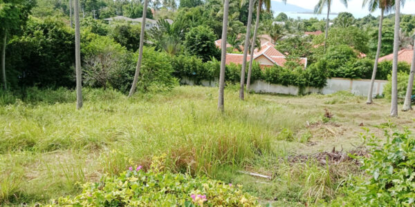 Land 1,555 Sqm of Sea View in Bang Rak, Koh Samui – For Sale