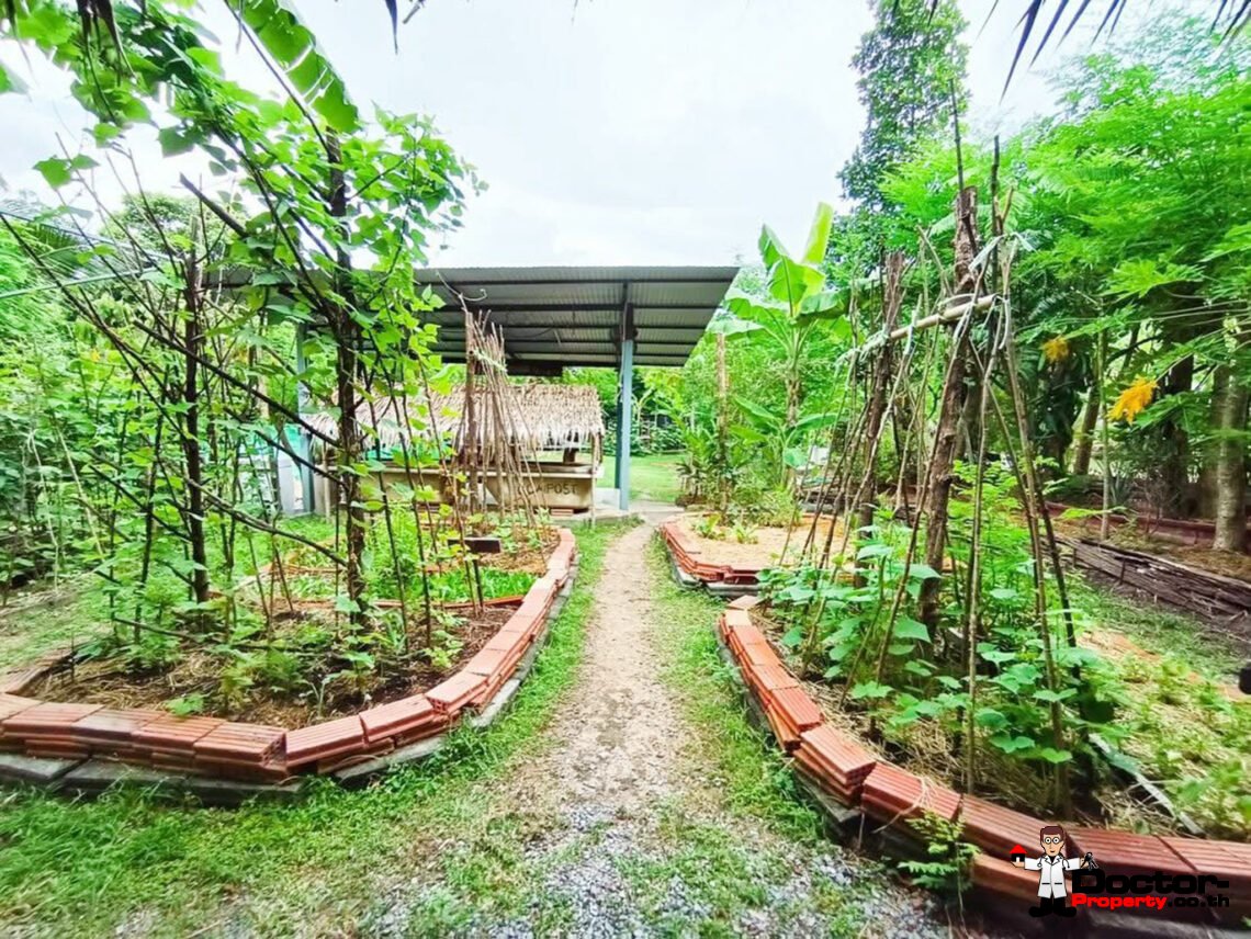 Spacious Land with House in Bang Rak, Koh Samui – For Sale