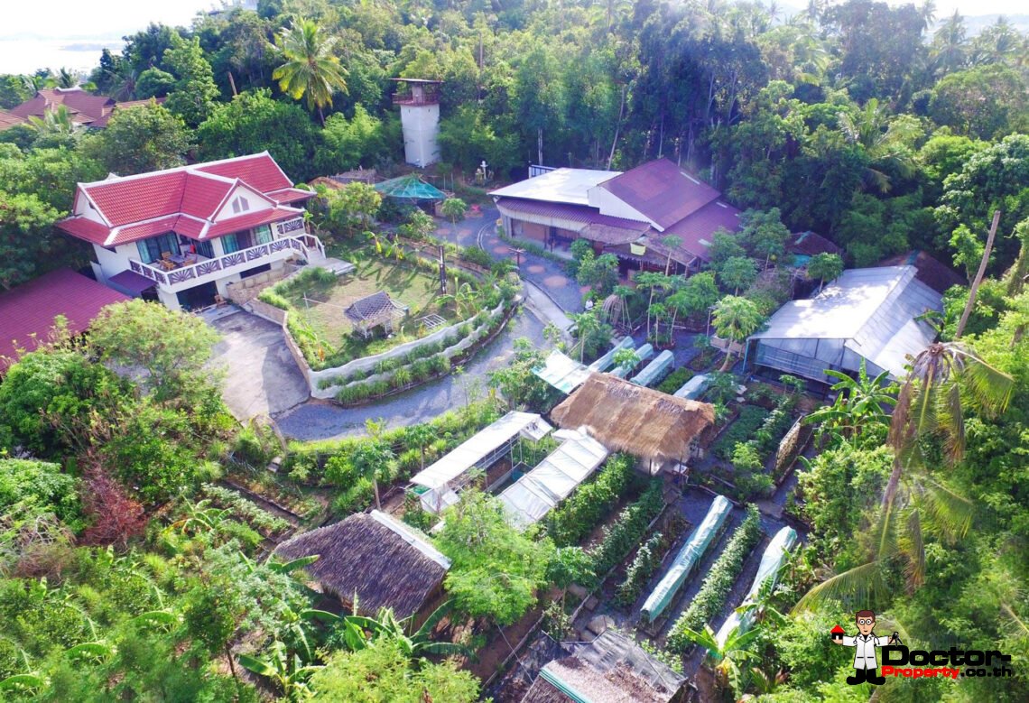 Spacious Land with House in Bang Rak, Koh Samui – For Sale