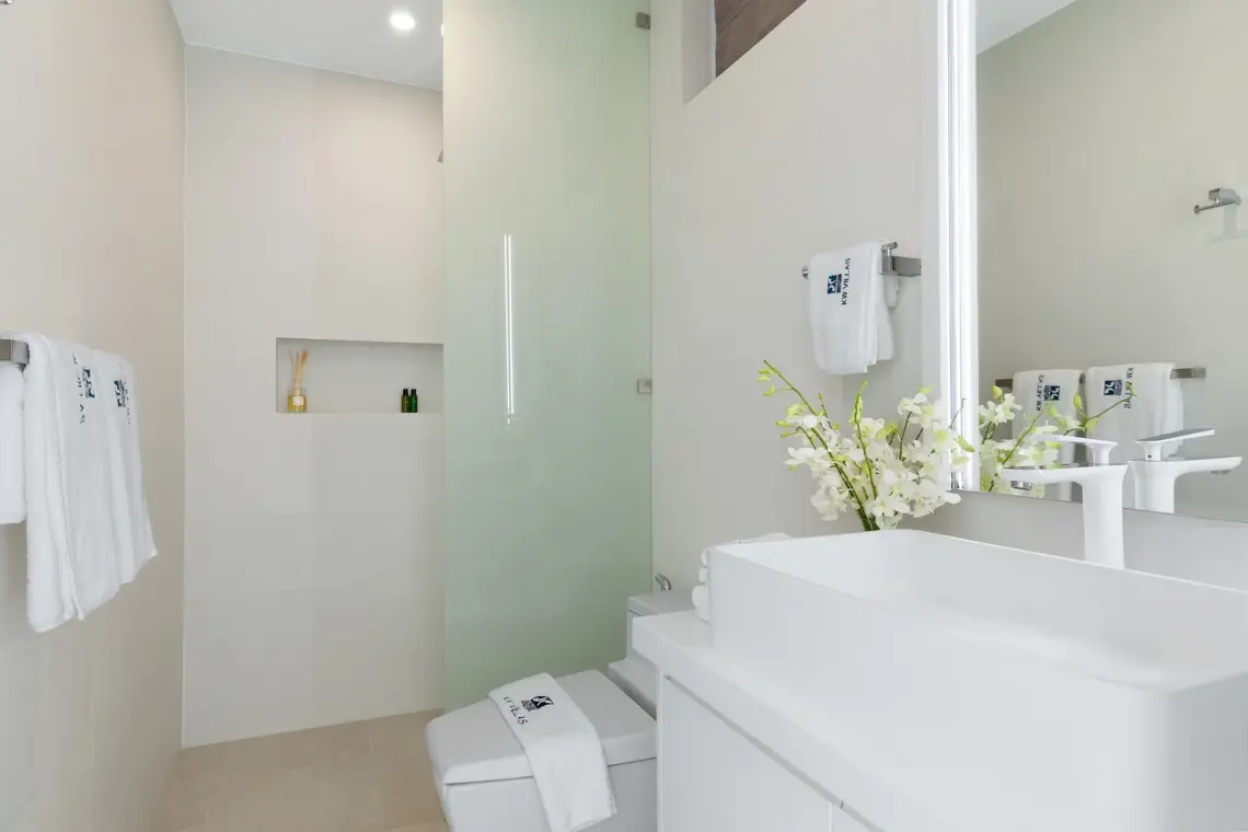 En-suite bathroom with walk-in shower